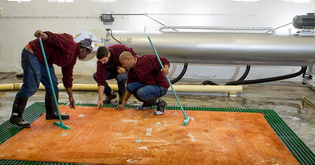 Carpets Or Rugs-Clean Offsite