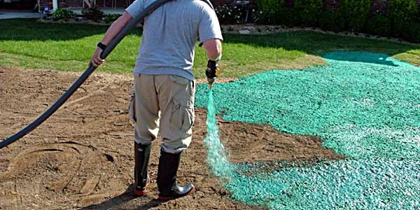 Lawn Seedinghydroseeding