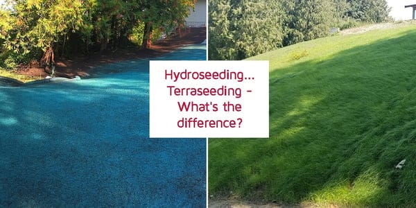 Lawn Seedinghydroseeding