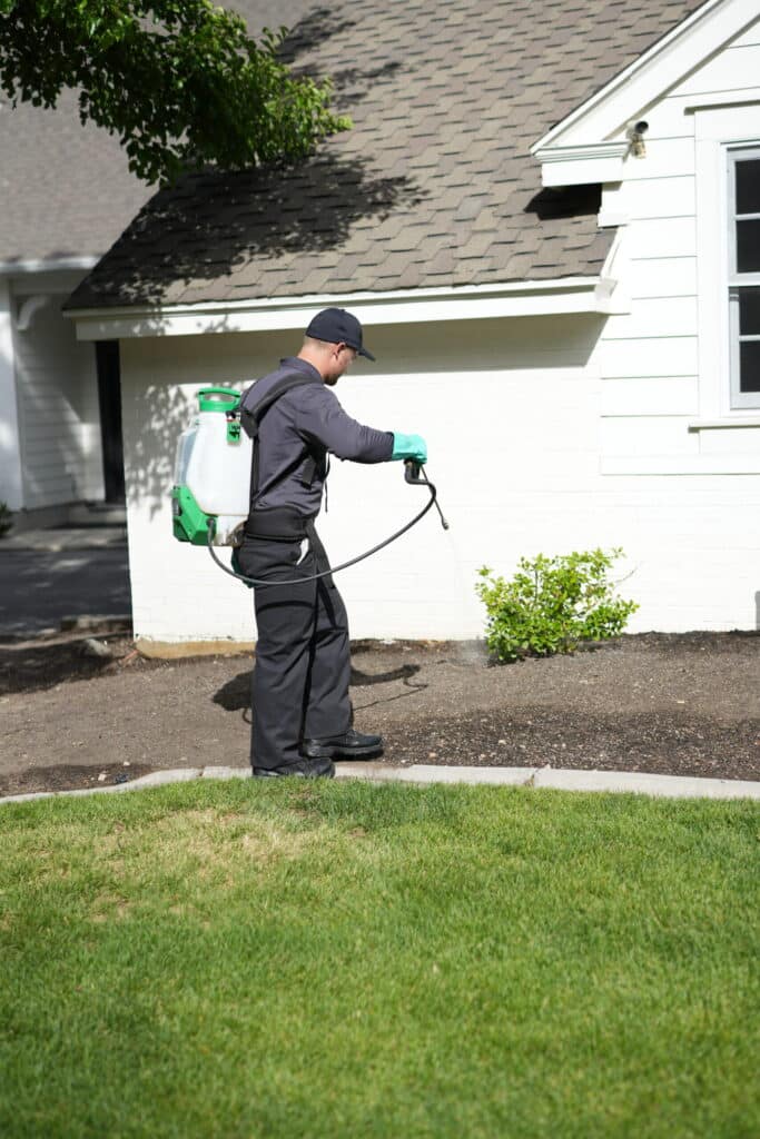 Pest Control-Mosquitos