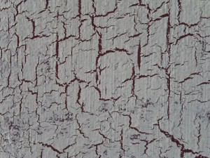 Specialty Painting-Textures
