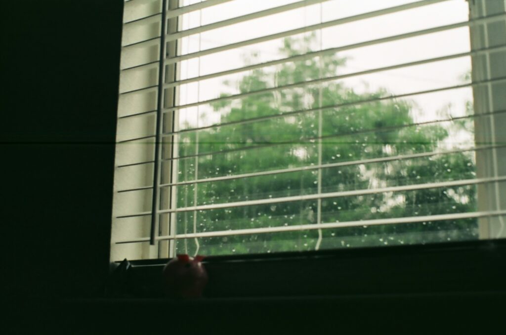 Storm Windows-Install Or Replace