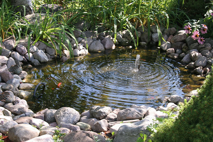 Water Feature-Install A Pond